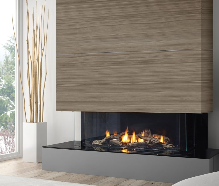 San Francisco Bay 40